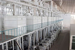 500 tpd automatic rice mill plant